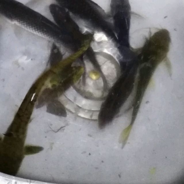 小7手游用户头像
