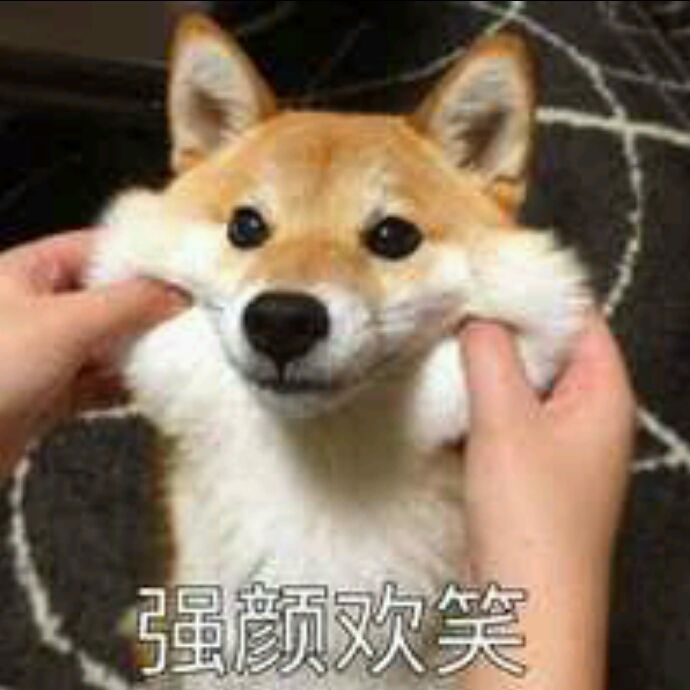 小7手游用户头像