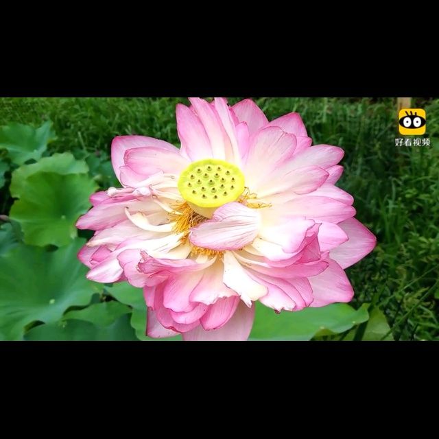 小7手游用户头像