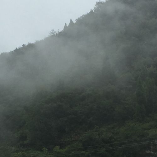 小7手游用户头像