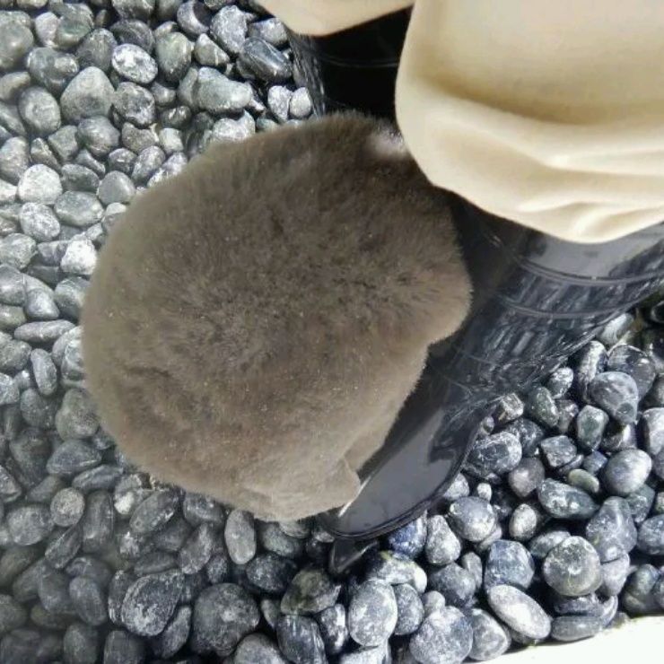 小7手游用户头像