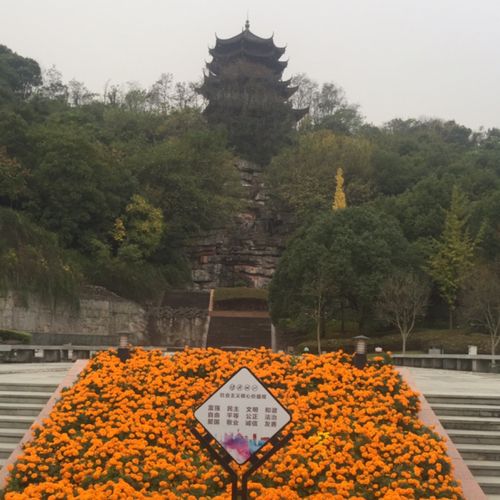 小7手游用户头像