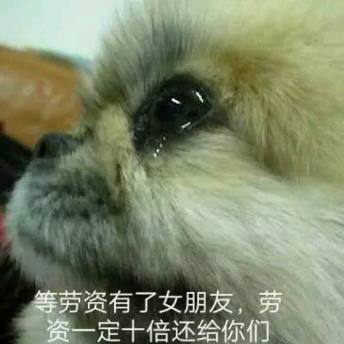 小7手游用户头像