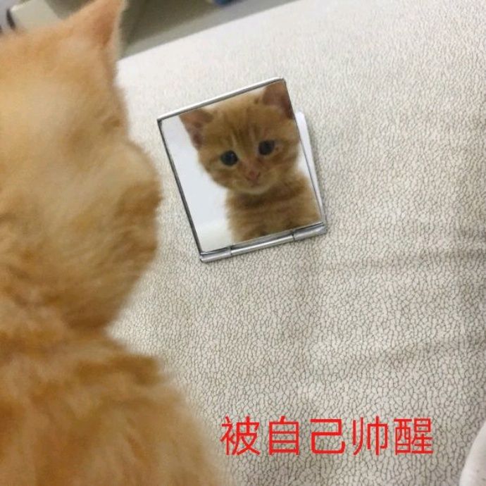 小7手游用户头像