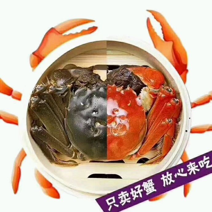 小7手游用户头像