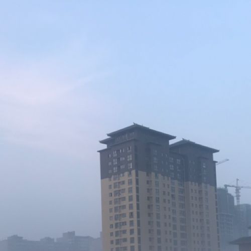 小7手游用户头像