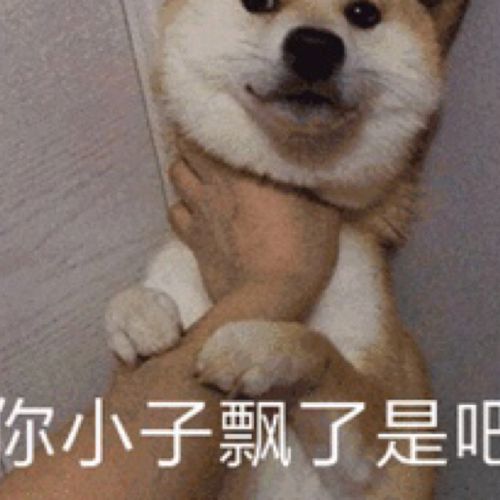 小7手游用户头像