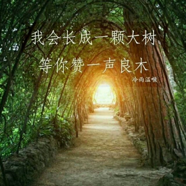 小7手游用户头像