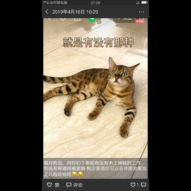 小7手游用户头像