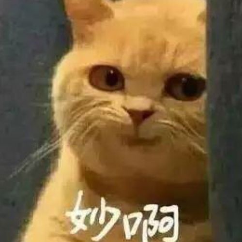 小7手游用户头像