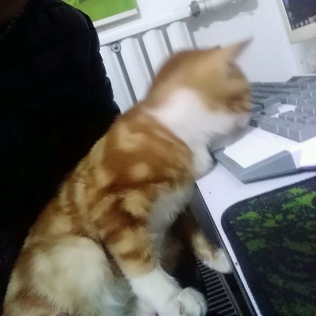 小7手游用户头像