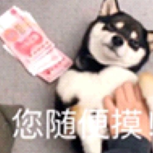 小7手游用户头像