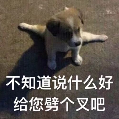 小7手游用户头像