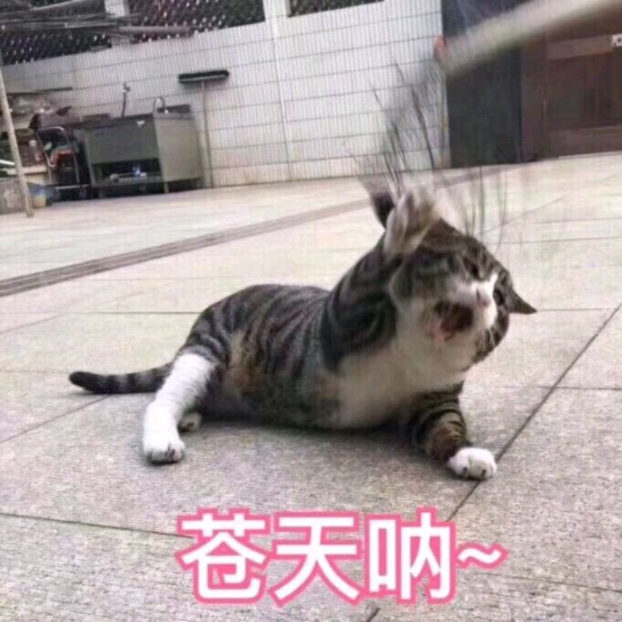 小7手游用户头像