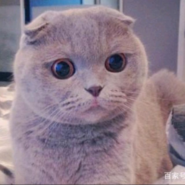小7手游用户头像
