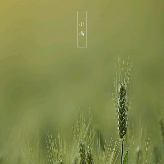 小7手游用户头像