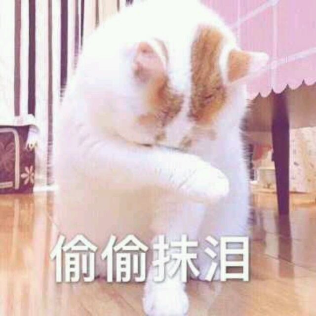 小7手游用户头像