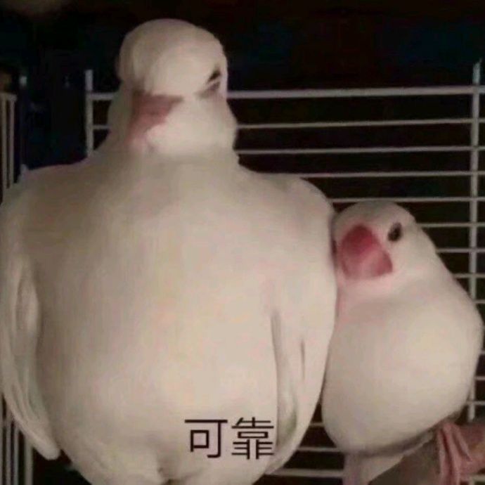 小7手游用户头像