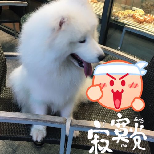 小7手游用户头像