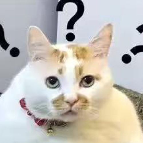 小7手游用户头像