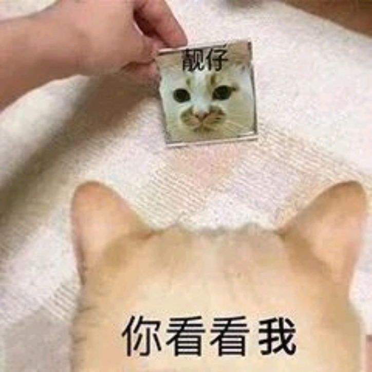 小7手游用户头像
