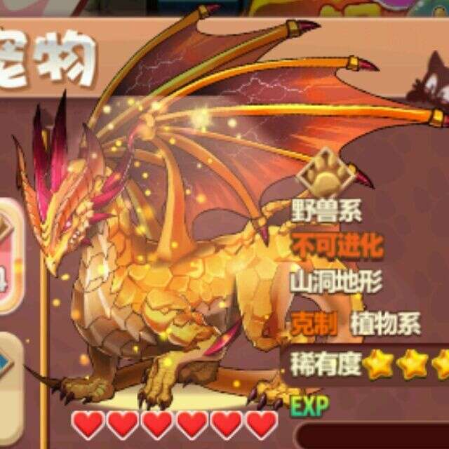 黄金龙王14小时前前