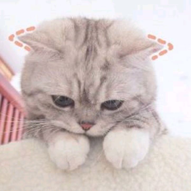 小7手游用户头像