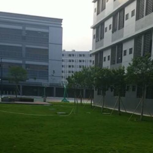 小7手游用户头像