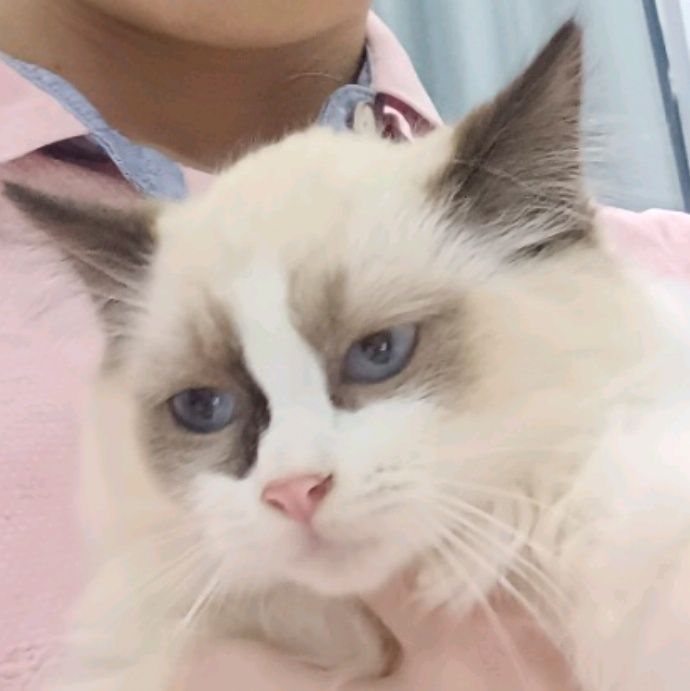 小7手游用户头像