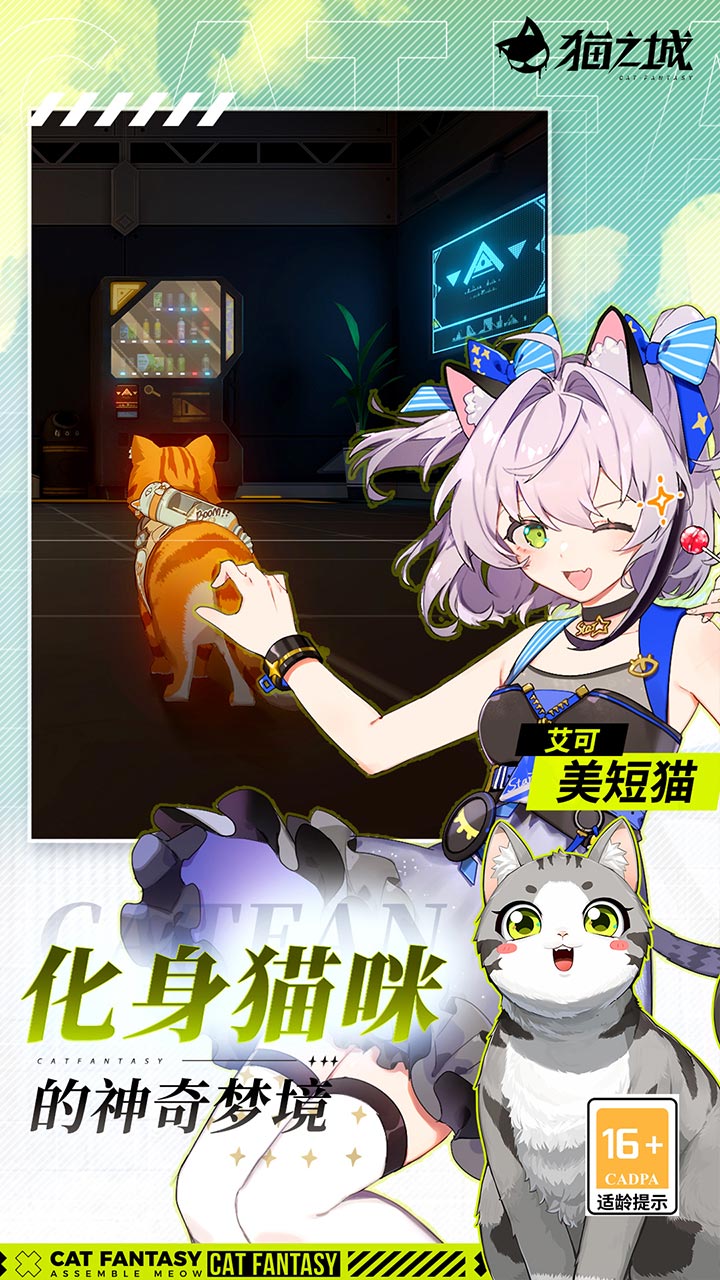 猫之城 宣传图4