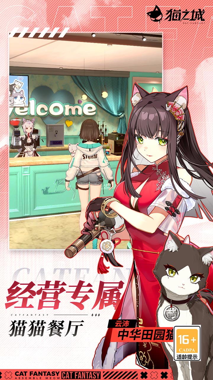 猫之城 宣传图5