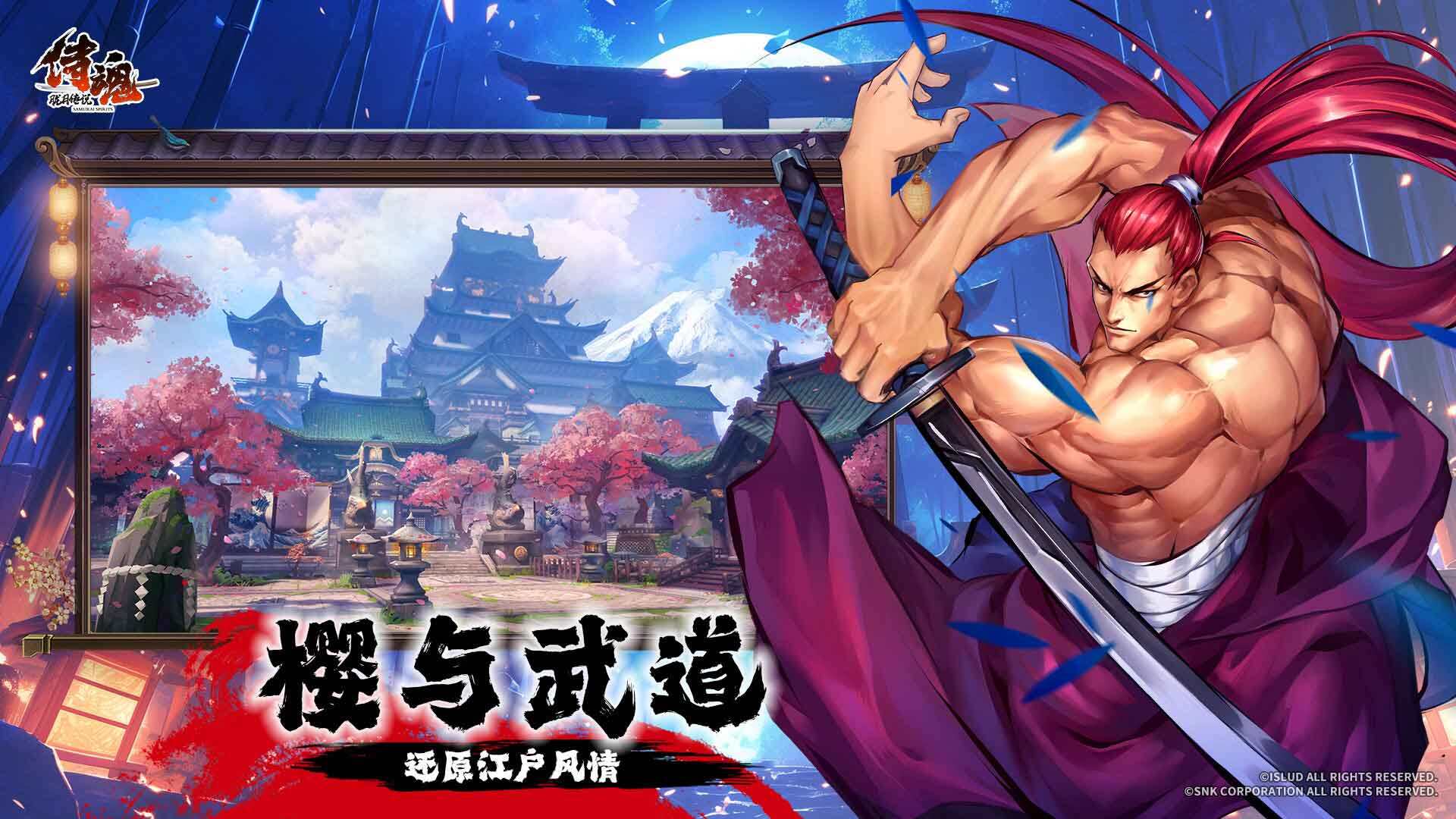 侍魂—胧月传说-免费版 宣传图6